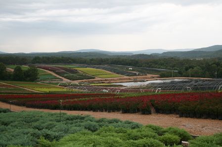 Park Hill, Oklahoma