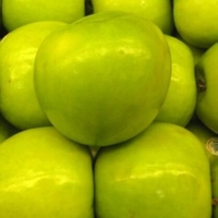 Malus 'Granny Smith'