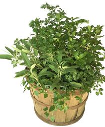 Basket Mixed Herbs